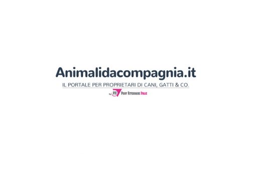 animali da compagni per kippy