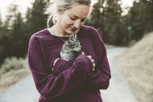Come ritrovare un gatto smarrito