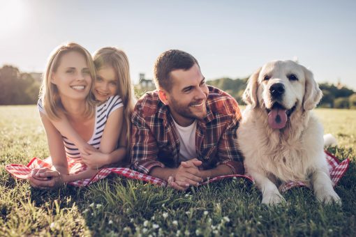 Allergia al pelo del cane