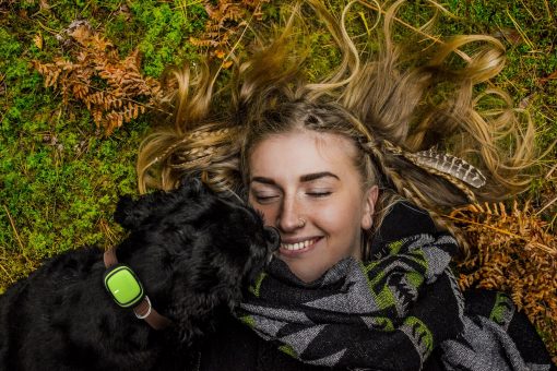 26 agosto giornata mondiale del cane
