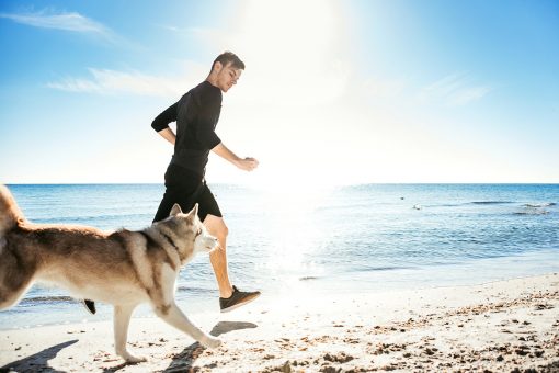 Hund läuft am Strand