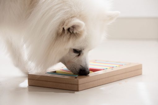 Geschenke für Hunde