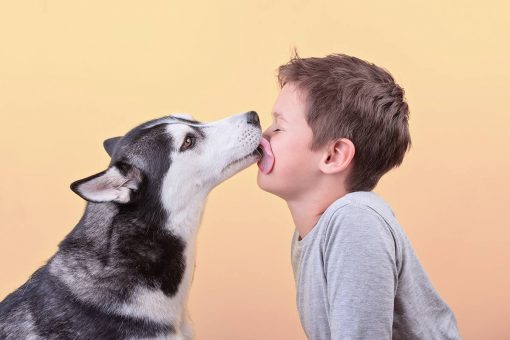 cane-bacio-bambino