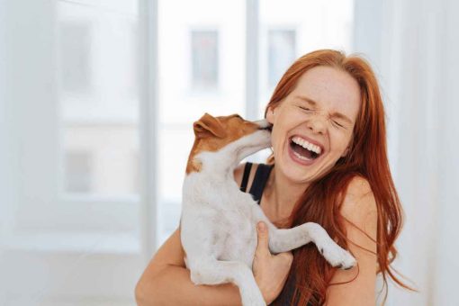 hund-kusst-die-frau