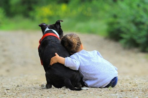 Hund-Baby