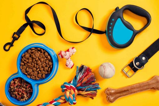 accessori_cane