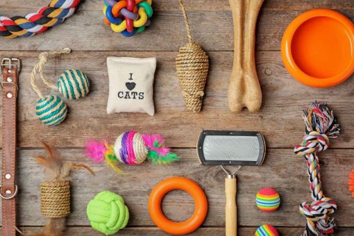 accessoires-hund-aus-holz