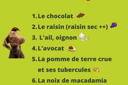 Liste-des-aliments-interdits