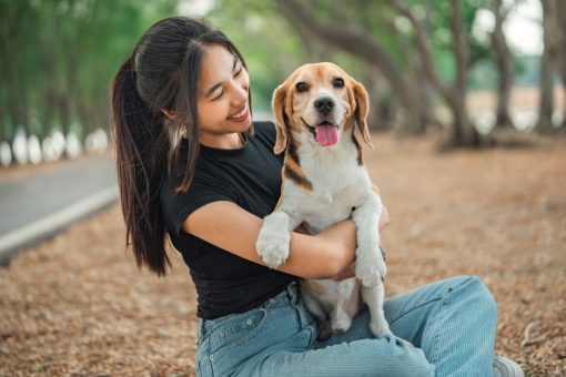 Quanto dura un giorno per il cane? Scopriamolo
